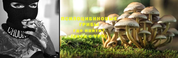 ECSTASY Нязепетровск