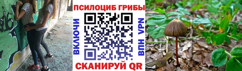цена   Фокино  Галлюциногенные грибы MAGIC MUSHROOMS 